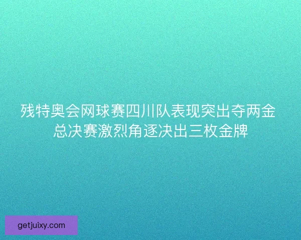 残特奥会网球赛四川队表现突出夺两金 总决赛激烈角逐决出三枚金牌
